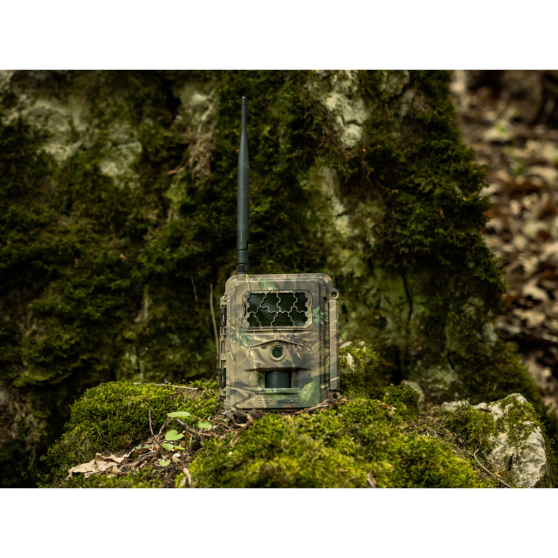 Fotopasca TETRAO Spromise S328 30Mpx 940nm MMS/4G - O2 SIM karta ZADARMO 1